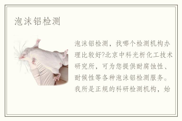 泡沫铝检测