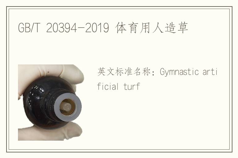 GB/T 20394-2019 体育用人造草