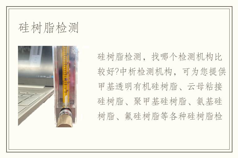 硅树脂检测