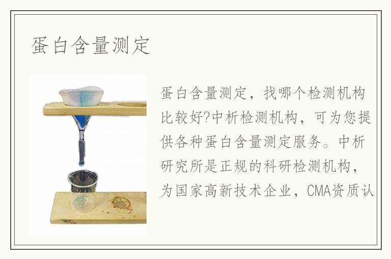 蛋白含量测定